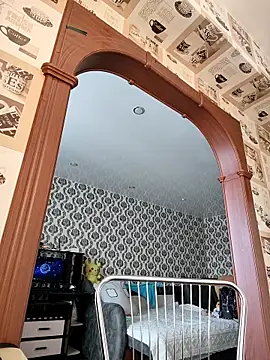 Lady nice cat online show from March 20, 6:18 am