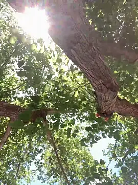 Makethatpussypurr online show from May 29, 7:56 pm