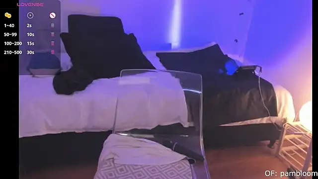 pambloom  online show from November 3, 9:08 pm