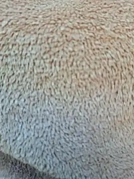 Priya Bong online show from January 15, 4:07 am