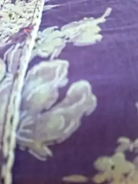 Priya Bong online show from February 15, 3:20 am