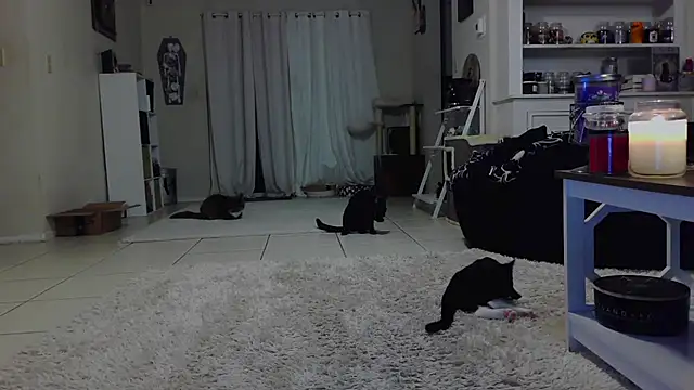 CrystalLakeXO online show from October 19, 7:43 am