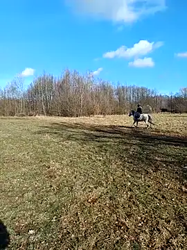 Tortuga95PL online show from February 12, 11:34 am