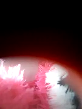 GoddessVee online show from October 13, 10:01 pm