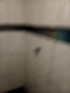 ladygmusic online show from February 6, 8:50 am