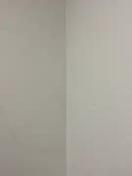 melody-dy online show from January 16, 12:06 am