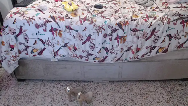 daniela starks online show from March 12, 11:07 pm