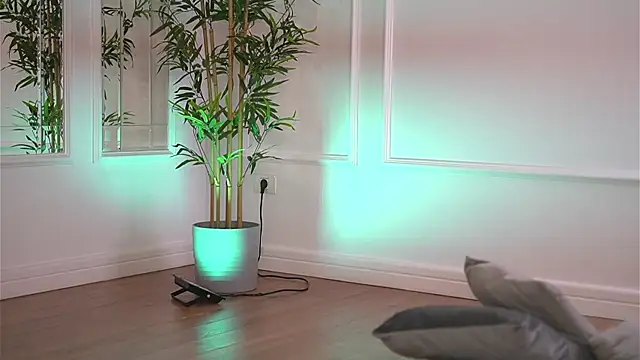 Cherrysweett online show from December 21, 7:56 am