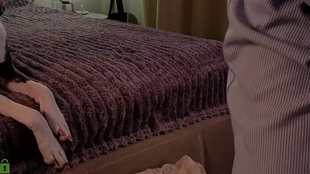 Eva Natsumi online show from December 14, 2:45 pm