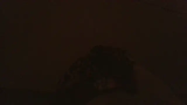 iaradias online show from December 2, 12:18 pm