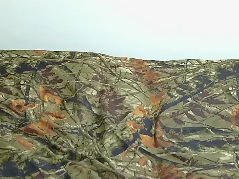 berbie  online show from September 30, 10:14 pm