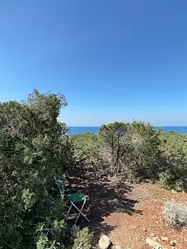 Inked lorena online show from March 12, 10:18 am