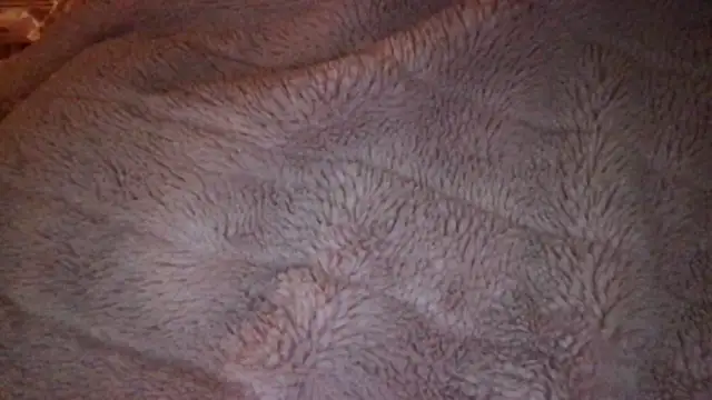 loveofbea online show from April 9, 6:19 am