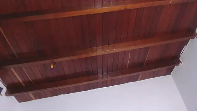 Amara Red online show from September 13, 2:58 pm