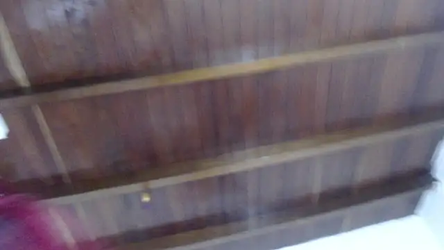 Amara Red online show from November 3, 11:14 am