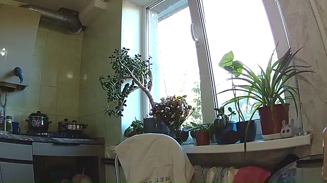 BroadFantasy online show from September 11, 1:22 pm