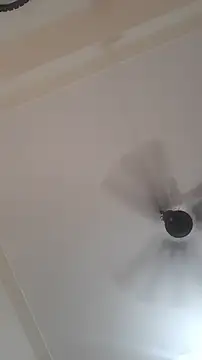 Nitya-Mahesh online show from March 23, 9:48 am