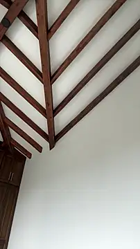 Arilw online show from March 3, 2:12 pm