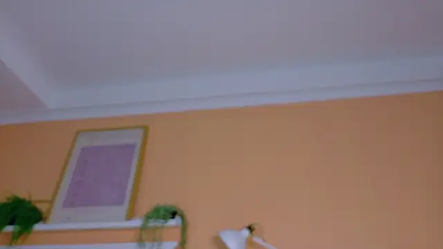 ParisFox  online show from February 21, 10:10 pm