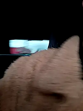 Lesly 10- online show from October 1, 10:15 pm