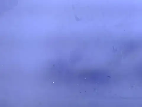 purple 69 online show from September 17, 10:35 am