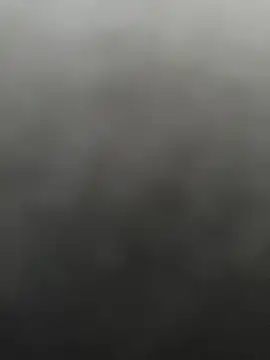 Cheinneyia online show from March 27, 12:50 pm