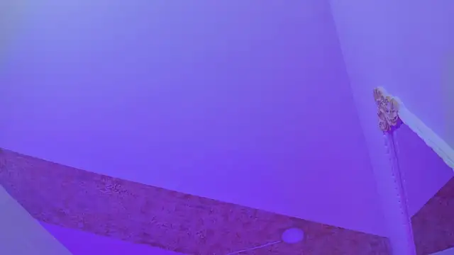 PandoraRider online show from February 25, 2:59 pm