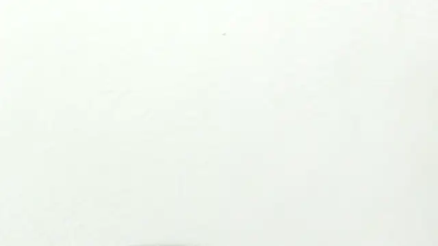 Dalia 20 online show from September 15, 12:41 am