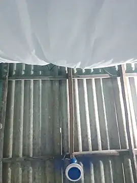 hotbaby 5 online show from October 8, 5:23 am