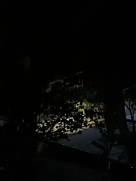 frnk30151 online show from March 28, 4:17 pm