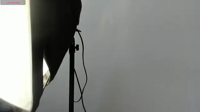 AbigailWilliams  online show from November 14, 11:21 am