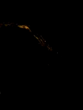 pleasure of life online show from April 19, 6:10 pm