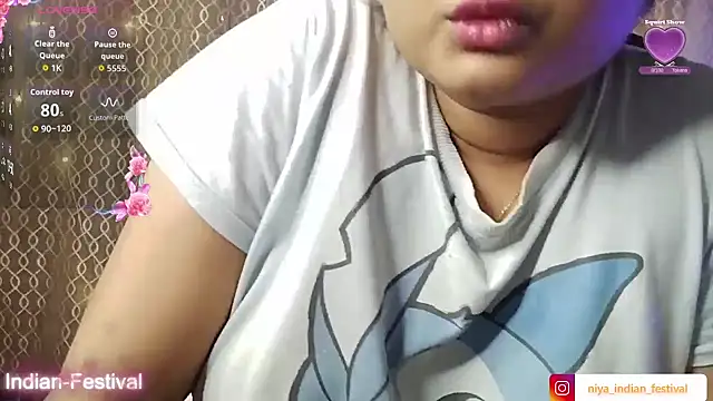 Indian-Festival online show from November 5, 4:45 pm