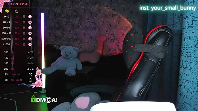 Your small bunny online show from November 4, 3:33 am