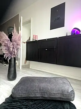 PalinaPr online show from November 10, 11:16 am