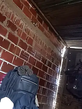 tayson  online show from November 14, 12:05 pm