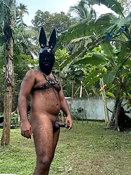 DragonLover 93 online show from December 1, 11:25 am