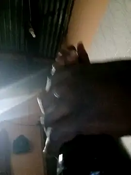 SexpoAfrica online show from February 10, 5:27 pm