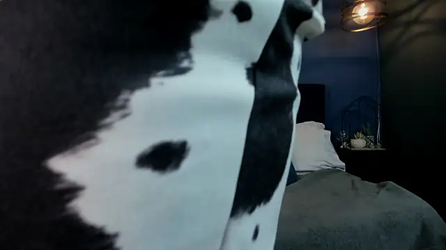 victoria byte online show from October 13, 8:44 pm