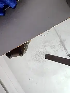 sana14 online show from December 17, 10:47 pm