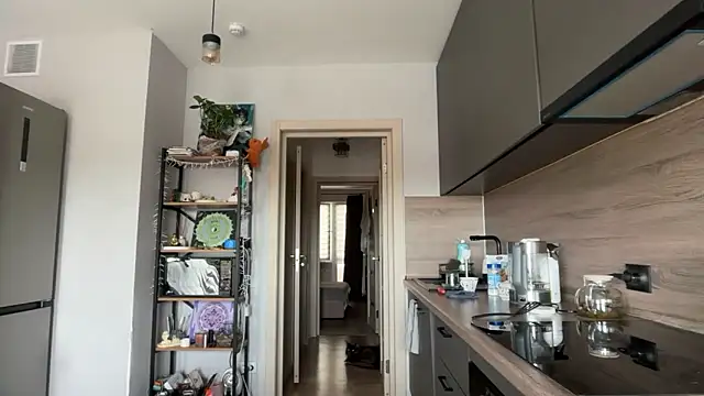 jainesummer online show from April 14, 9:20 am