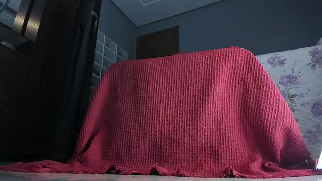 sherilkwang19tv online show from January 12, 12:49 am