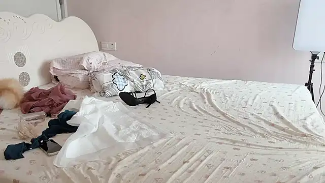 Z30966903S online show from April 13, 9:43 am