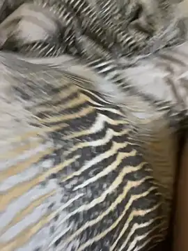 Vanzetti69 online show from December 3, 1:02 pm