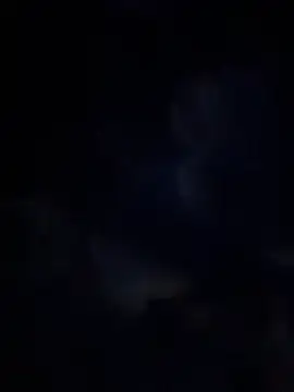 Miia Jazmin online show from January 13, 11:03 am