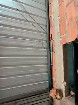 Zoe Sweett18 online show from November 17, 12:50 pm