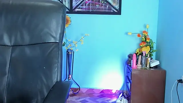 Daniel 08 8 online show from January 10, 2:00 pm