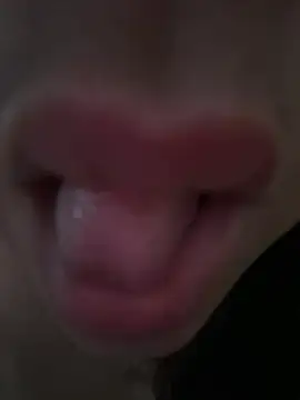 daianaspencer online show from April 13, 6:03 am