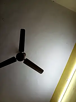 Thamarai28 online show from March 5, 12:39 am