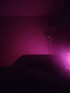 bailey4203 online show from July 21, 4:13 am